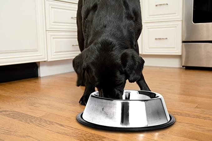 Stainless Steel Non-Skid Pet Bowl for Dog or Cat - Iconic Pet, LLC