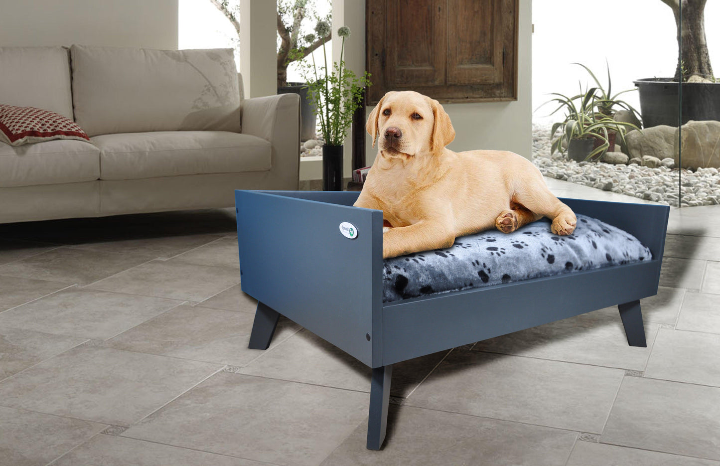 Sassy Paws Raised Wooden Pet Bed with Removable Cushion - Iconic Pet, LLC