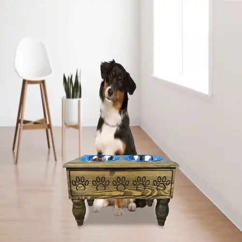 Sassy Paws Raised Wooden Pet Double Diner with Stainless Steel Bowls