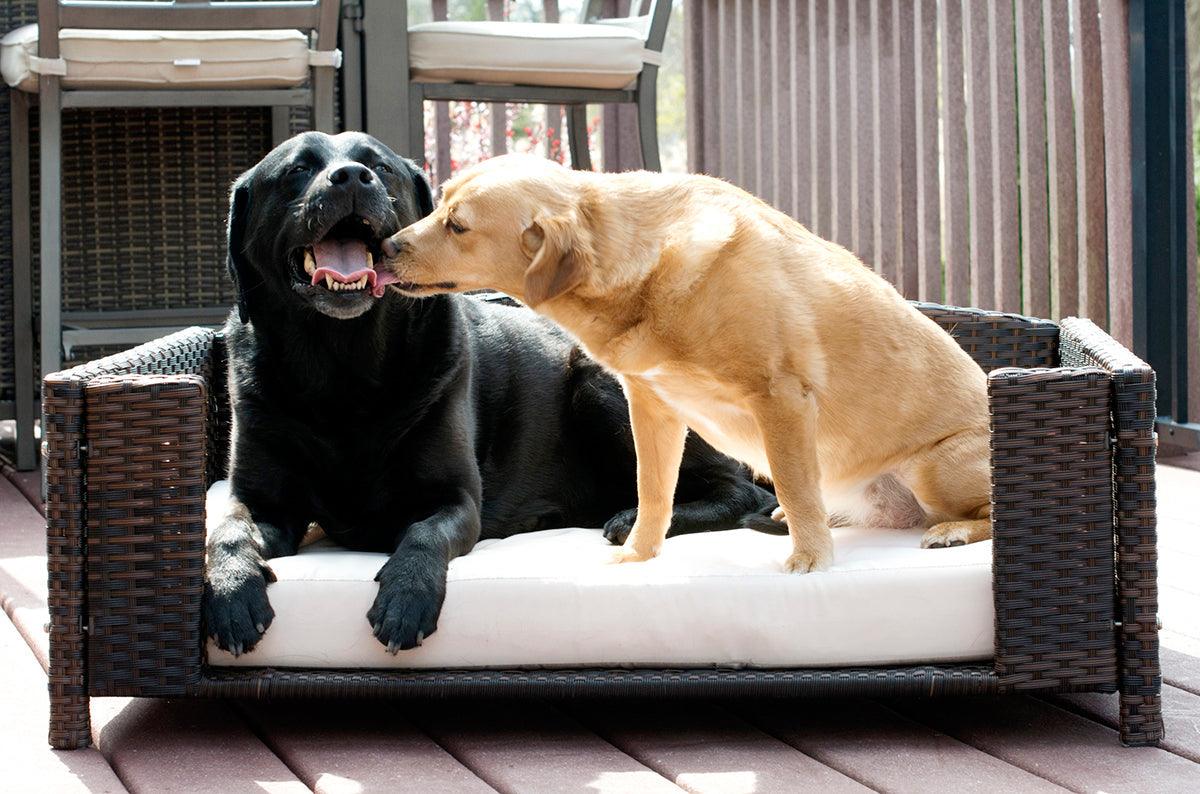 Rattan Rectangular Pet Sofa - Iconic Pet, LLC