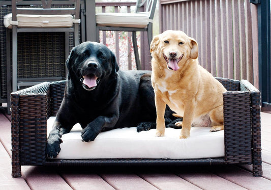 Rattan Rectangular Pet Sofa - Iconic Pet, LLC