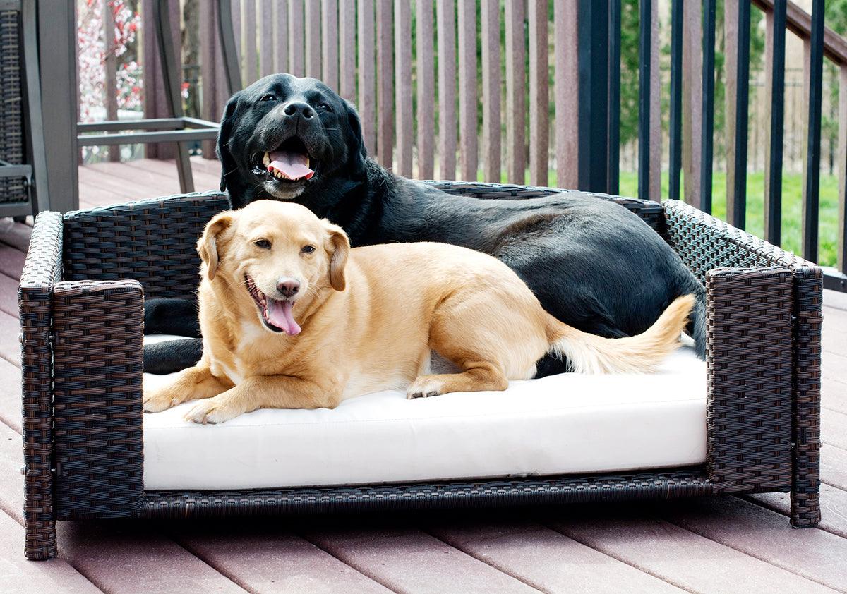Rattan Rectangular Pet Sofa - Iconic Pet, LLC