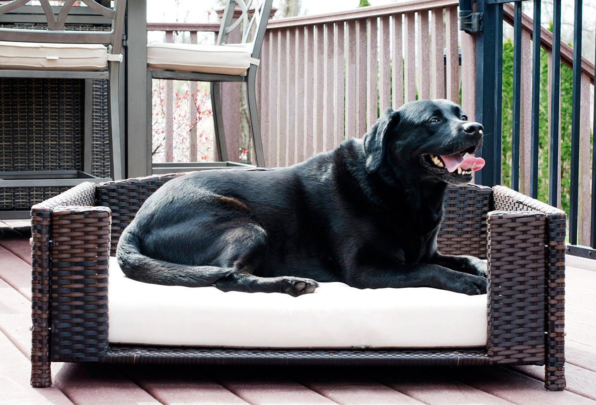 Rattan Rectangular Pet Sofa - Iconic Pet, LLC