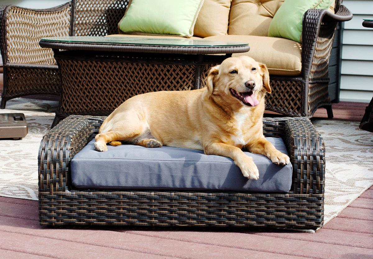 Pet sofa bed best sale