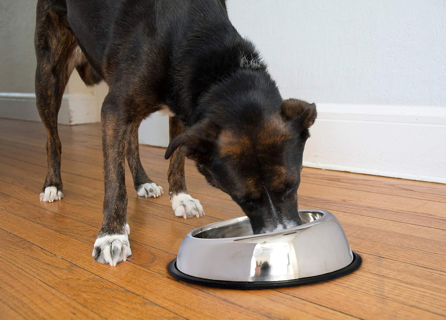 Heavy Weight Non-skid Easy feed High Back Pet Bowl for Dog or Cat - Iconic Pet, LLC