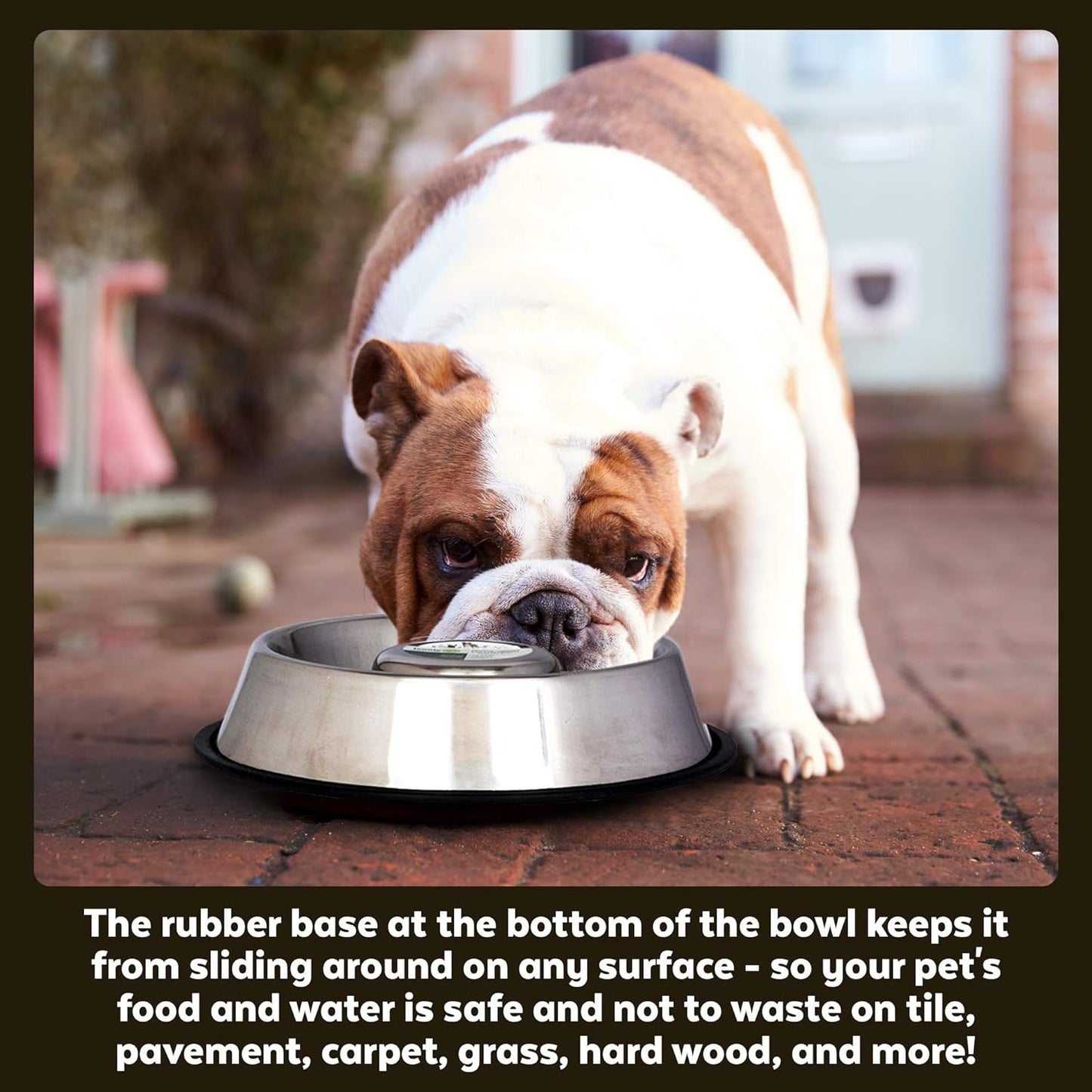 Slow Feed Stainless Steel Pet Bowl for Dog or Cat