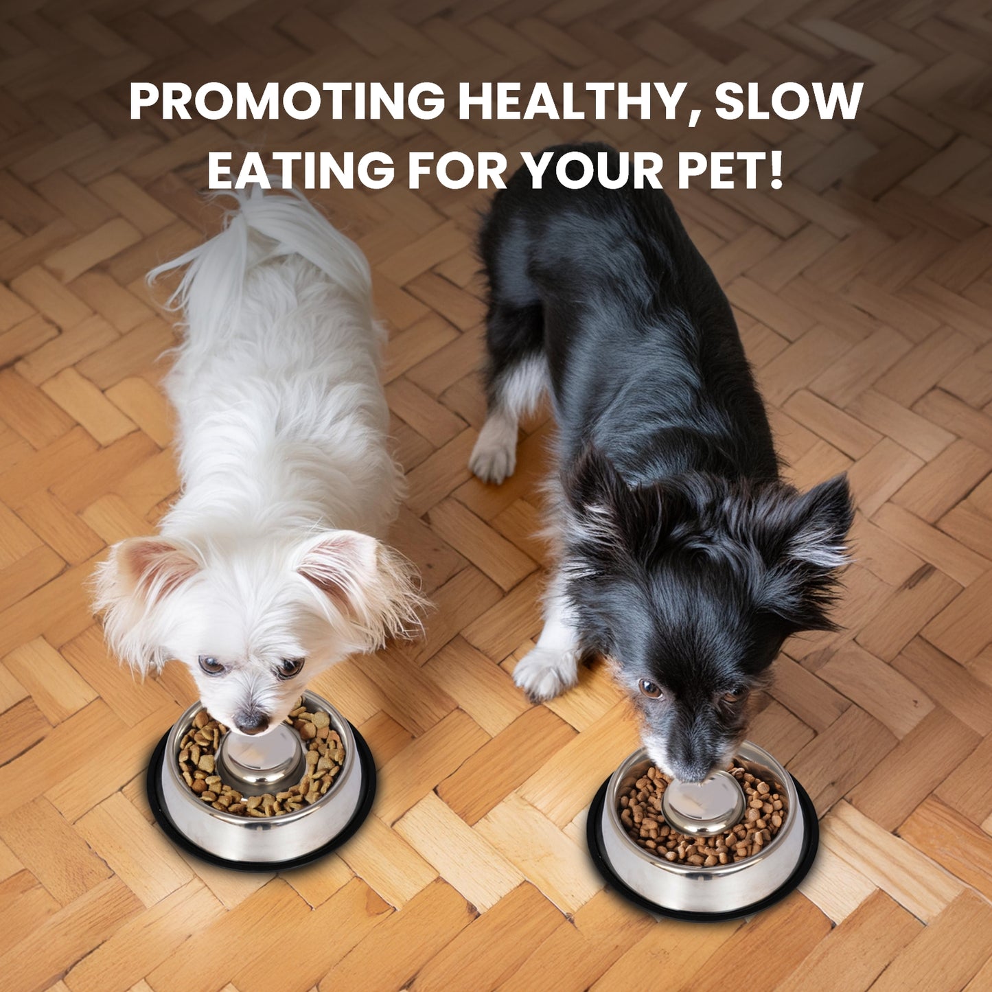 Slow Feed Stainless Steel Pet Bowl for Dog or Cat