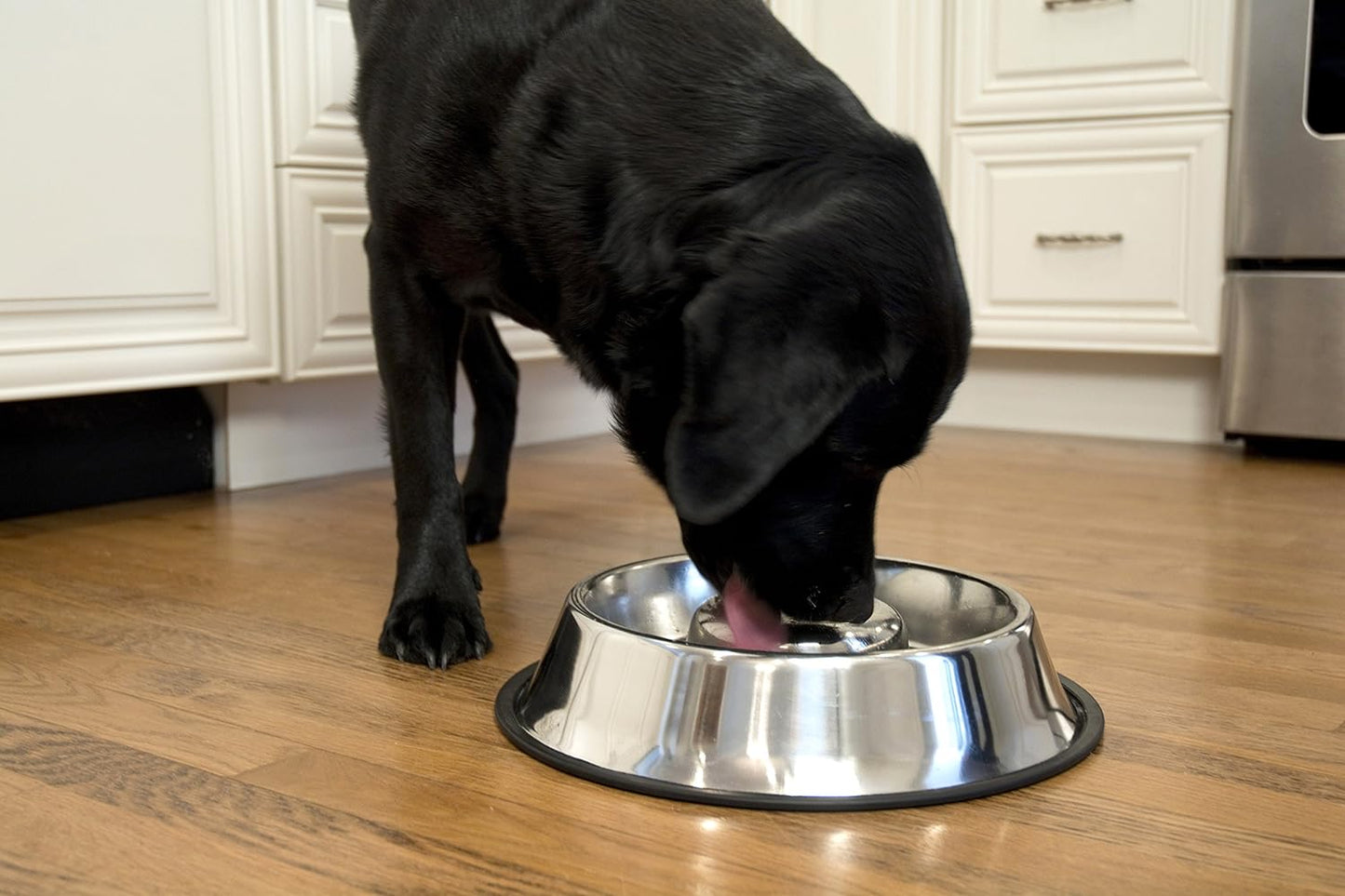 Slow Feed Stainless Steel Pet Bowl for Dog or Cat