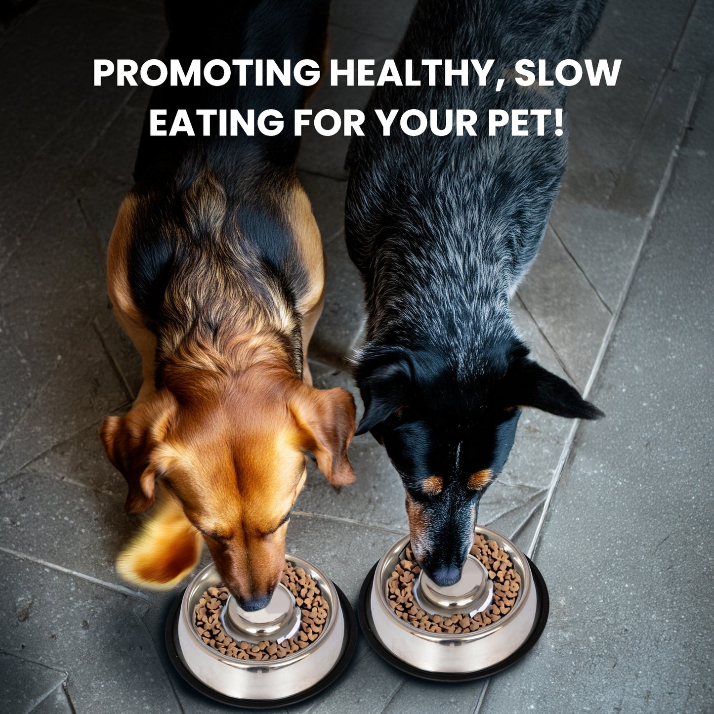 Slow Feed Stainless Steel Pet Bowl for Dog or Cat