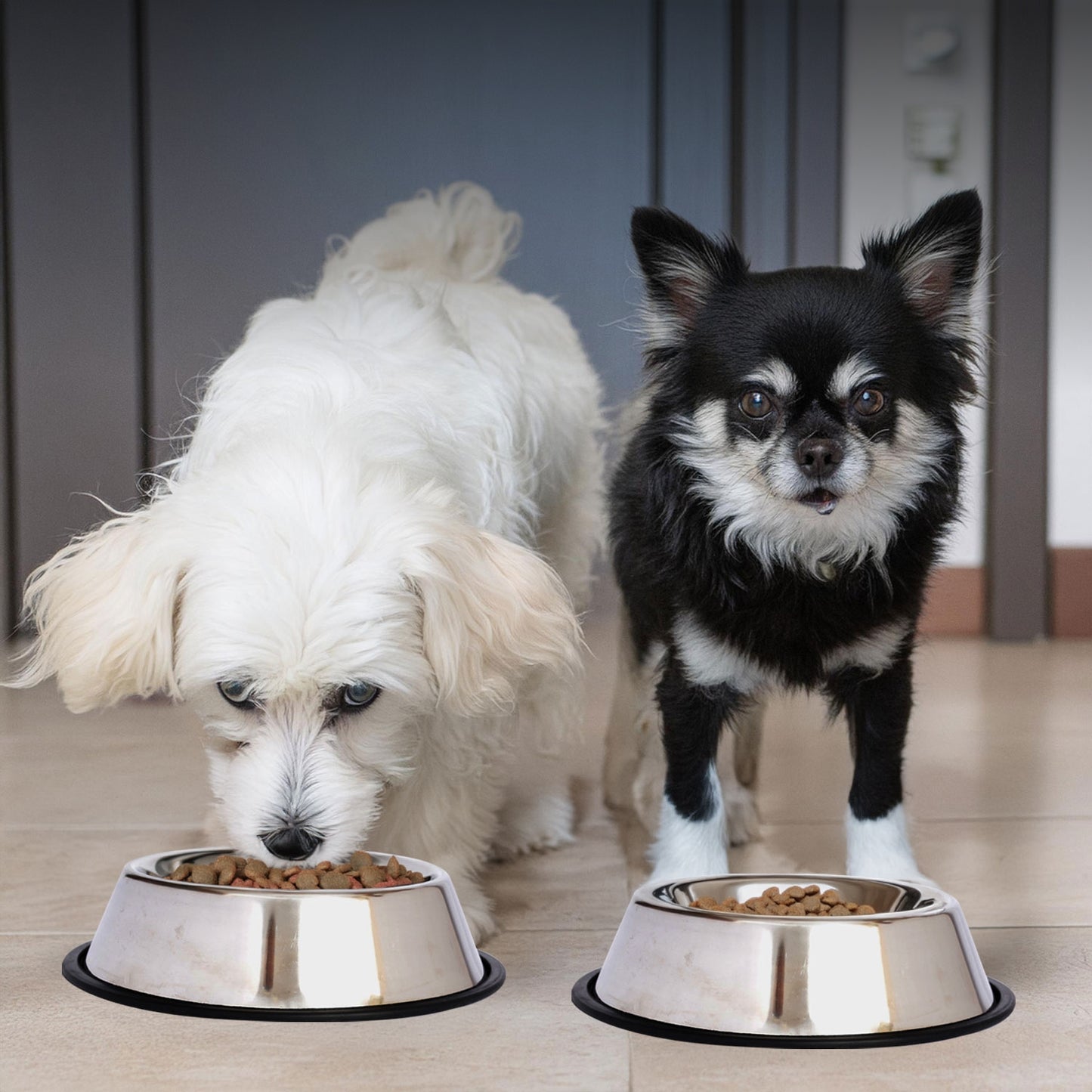Stainless Steel Non-Skid Pet Bowl for Dog or Cat