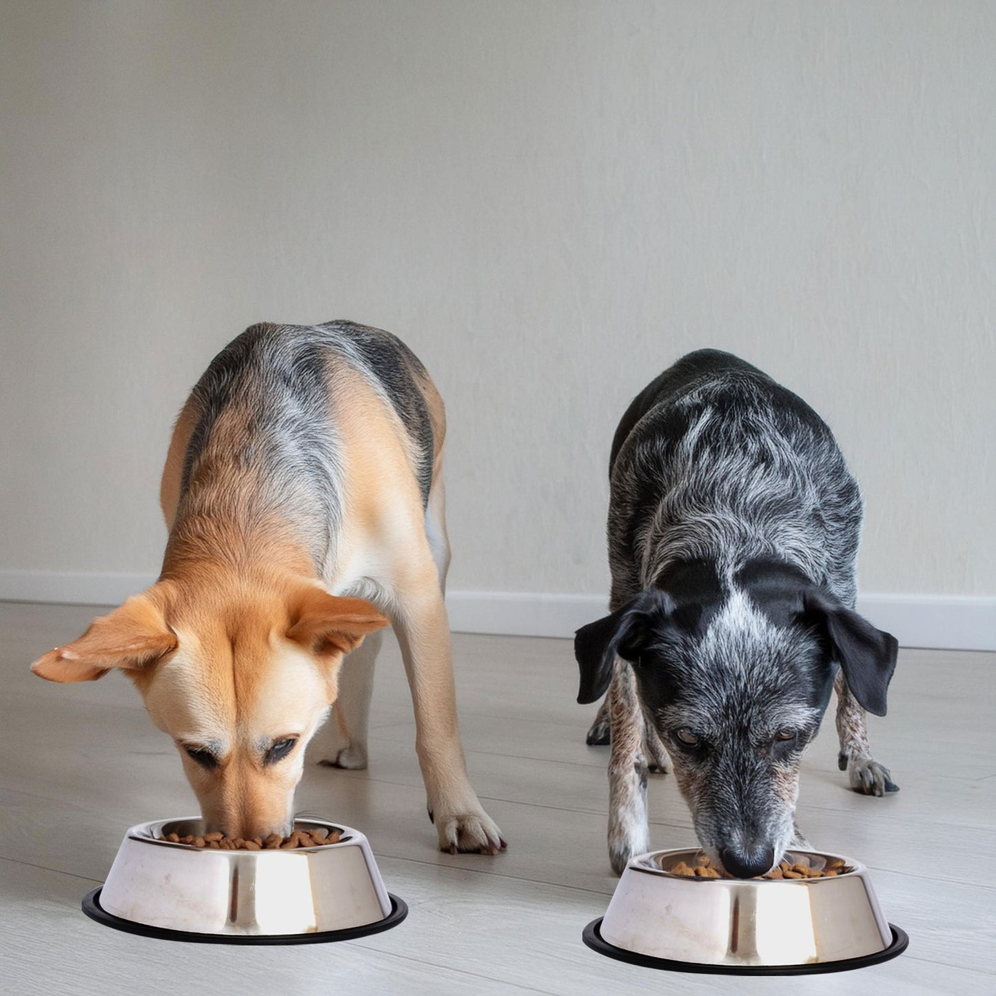 Stainless Steel Non-Skid Pet Bowl for Dog or Cat
