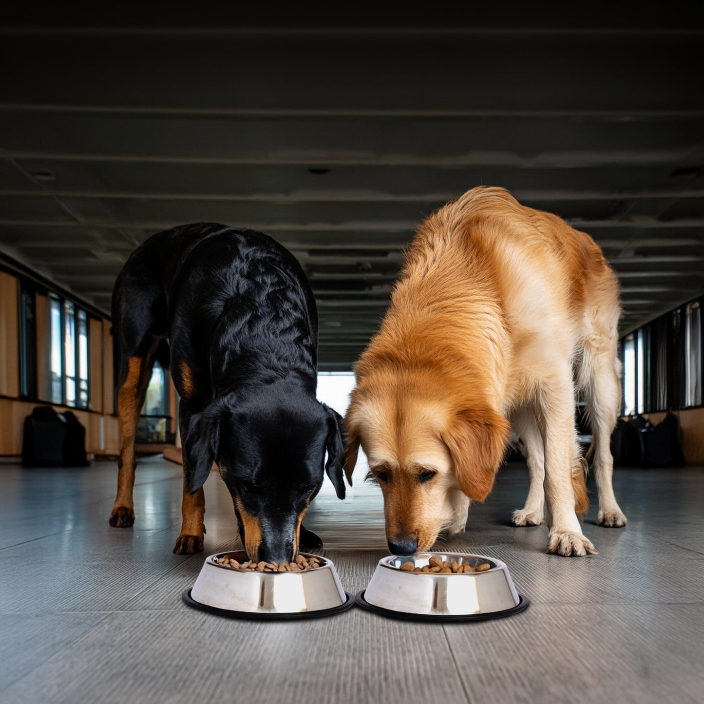 Stainless Steel Non-Skid Pet Bowl for Dog or Cat