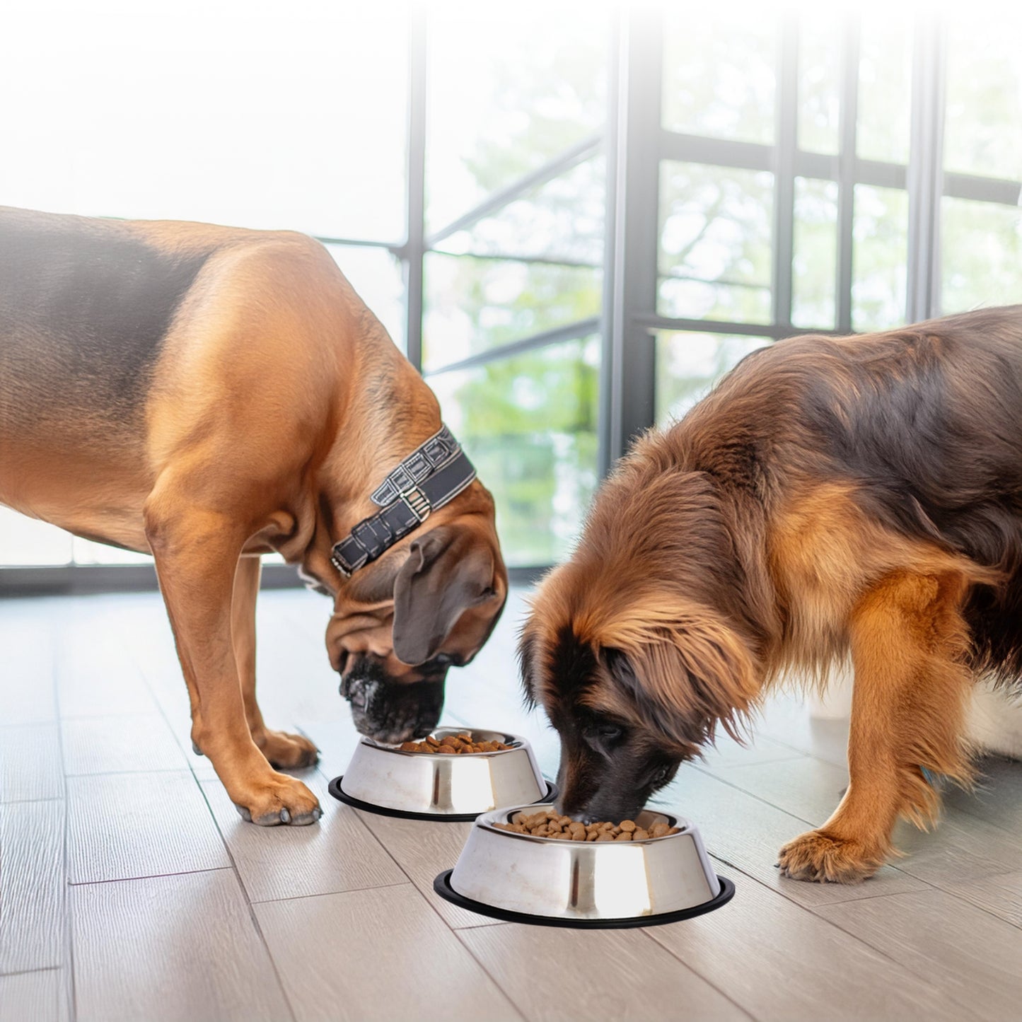 Stainless Steel Non-Skid Pet Bowl for Dog or Cat