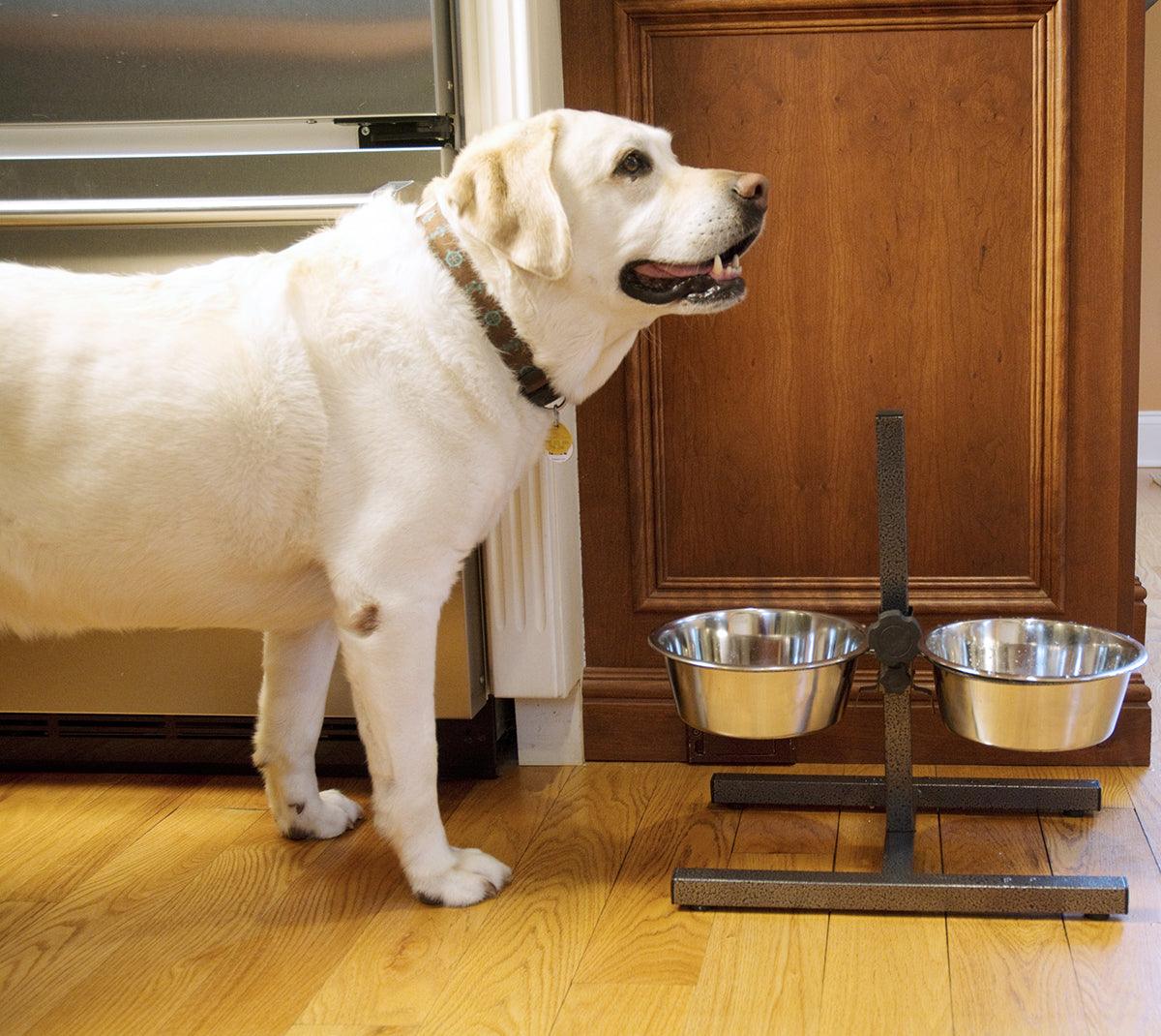 Adjustable Stainless Steel Pet Double Diner - H Design - Iconic Pet, LLC