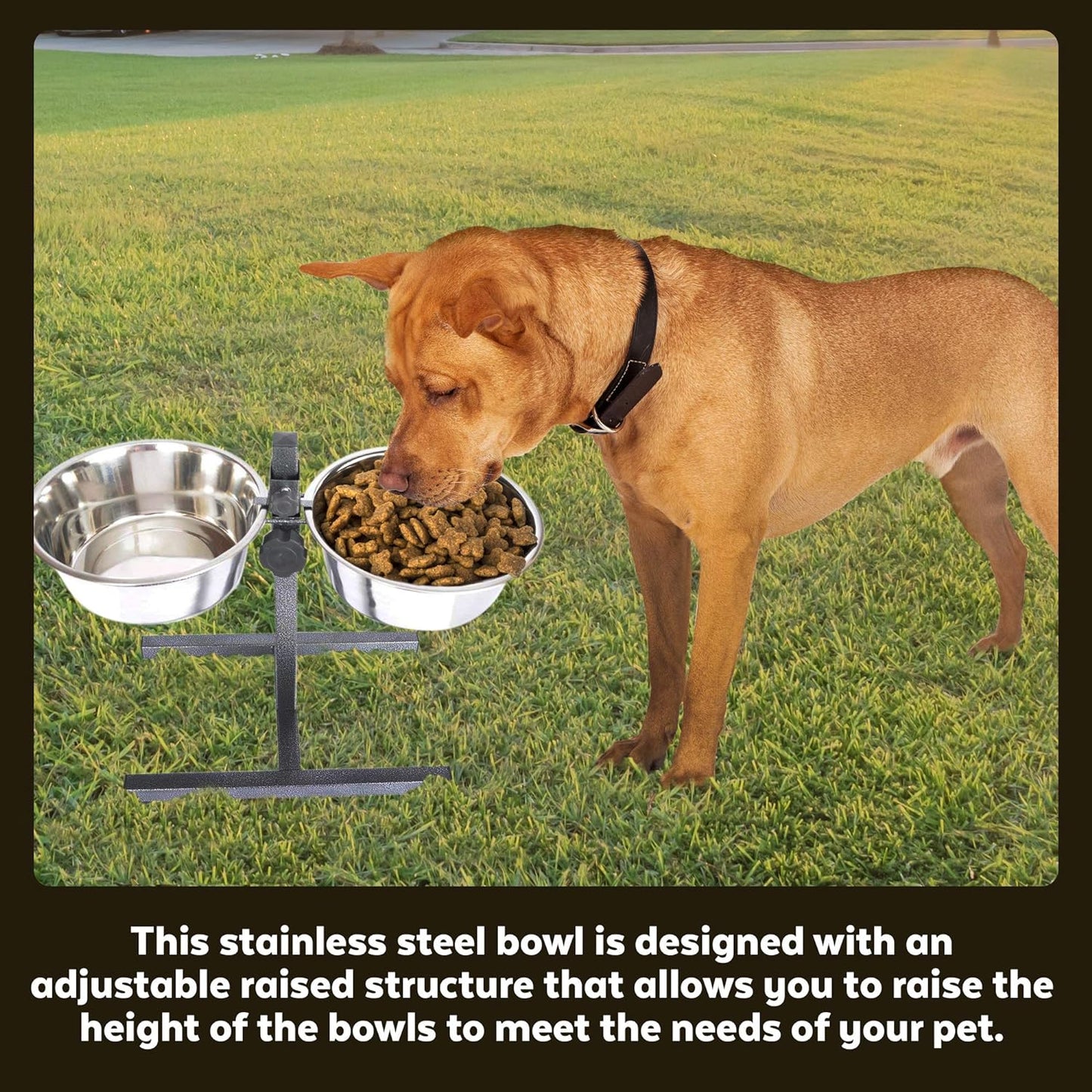 Adjustable Stainless Steel Pet Double Diner - H Design