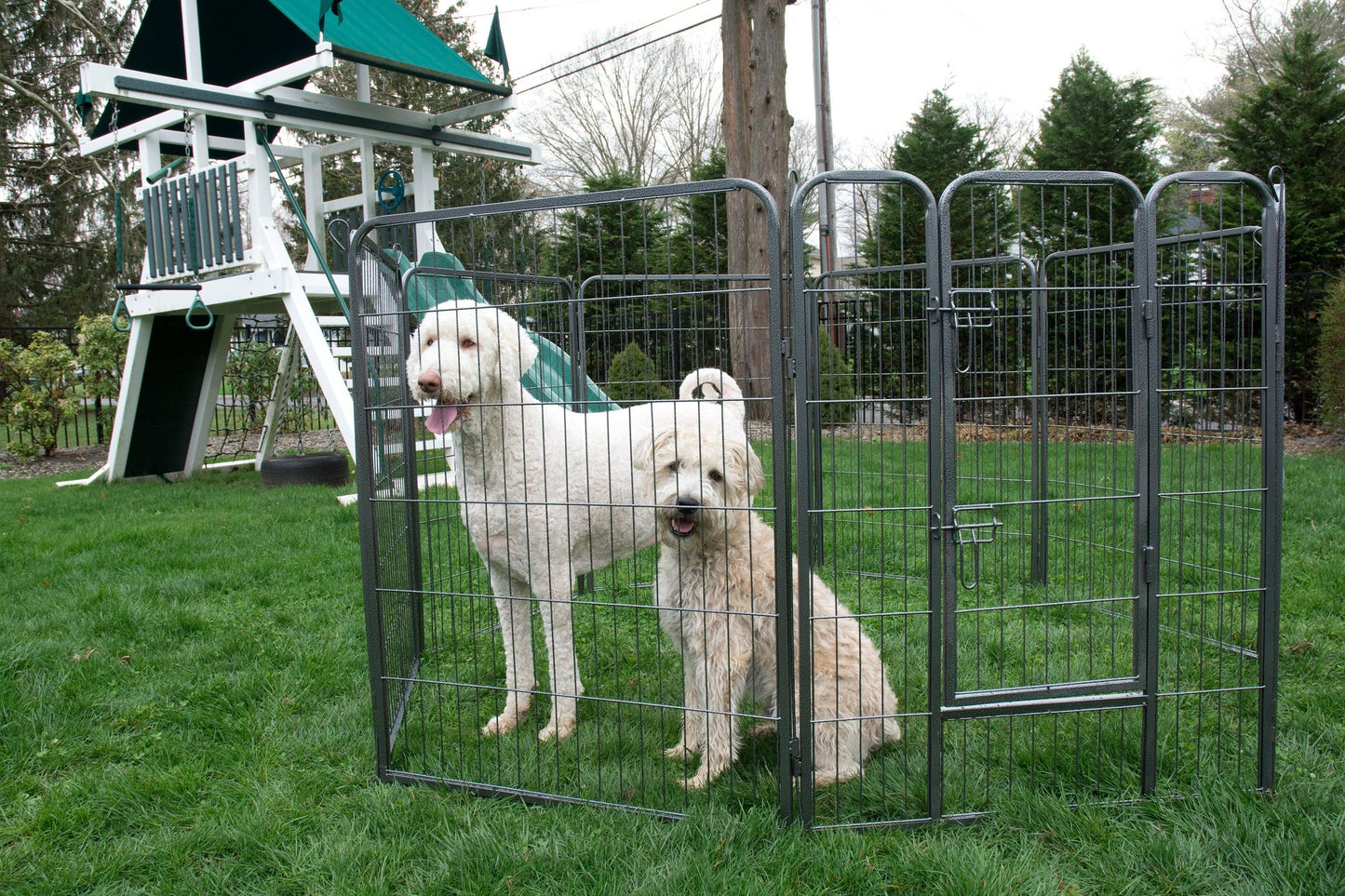 Heavy Duty Metal Tube pen Pet Exercise and Training Playpen - Iconic Pet, LLC