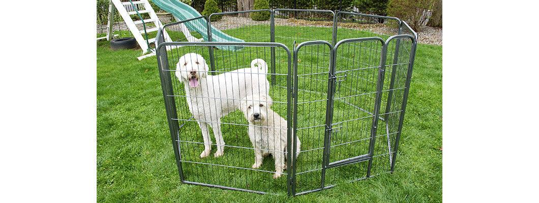 Heavy Duty Metal Tube pen Pet Exercise and Training Playpen - Iconic Pet, LLC