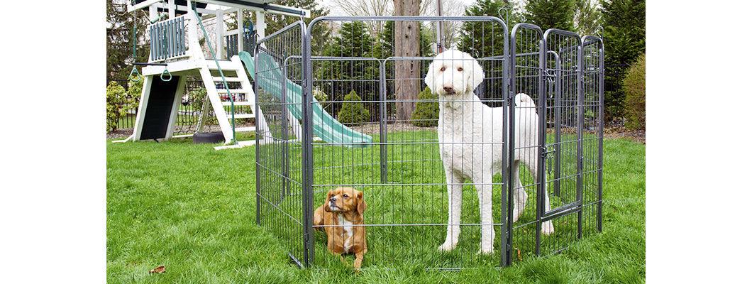 Heavy Duty Metal Tube pen Pet Exercise and Training Playpen - Iconic Pet, LLC