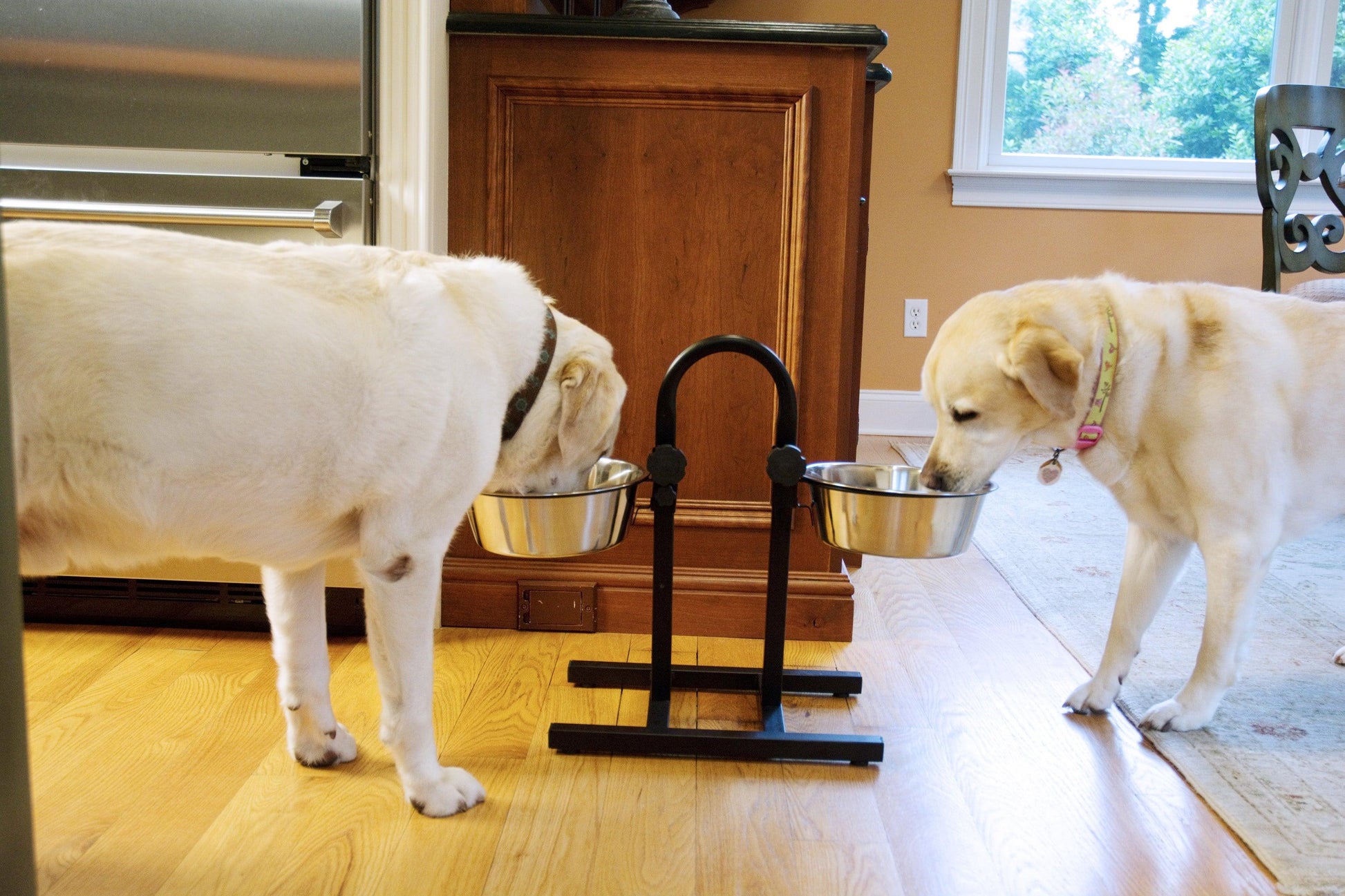 Adjustable Stainless Steel Pet Double Diner for Dog - U Design - Iconic Pet, LLC