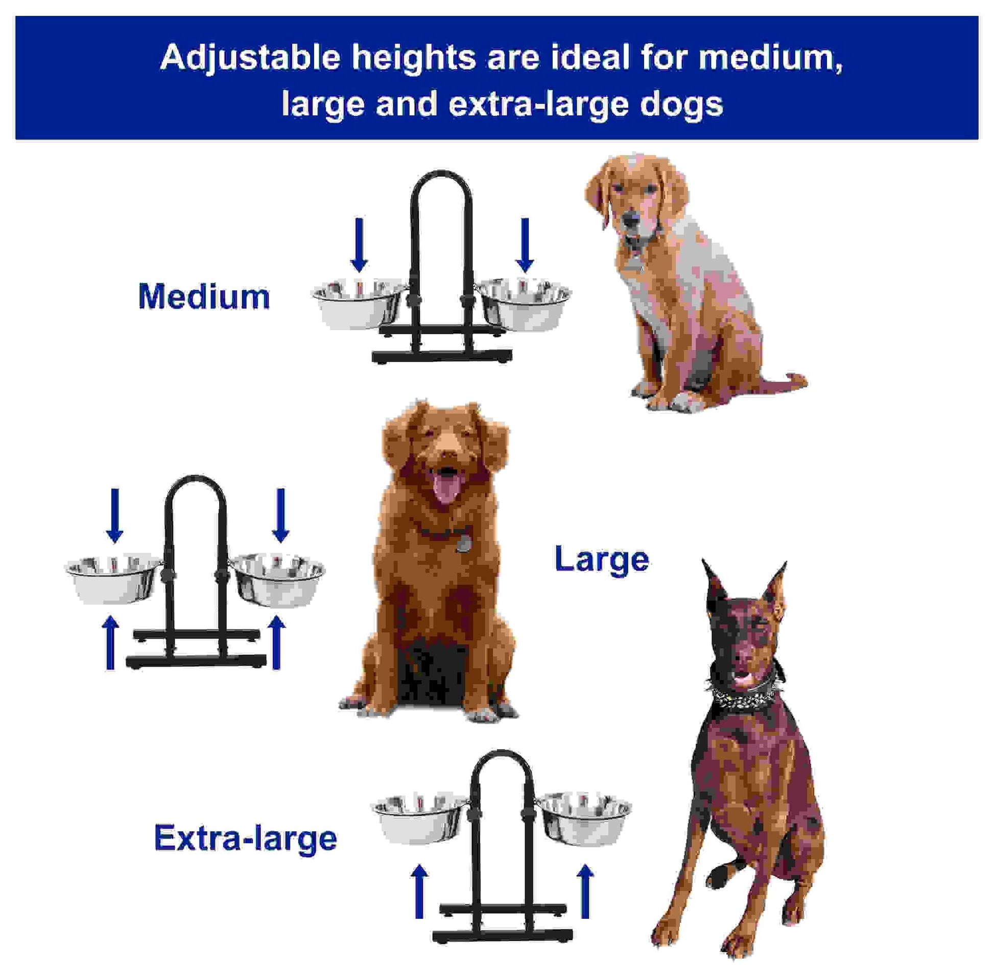 Adjustable Stainless Steel Pet Double Diner for Dog - U Design - Iconic Pet, LLC