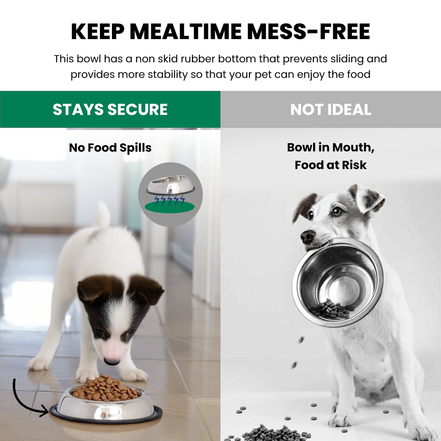 2 Pack Heavy Weight Non-Skid Easy Feed High Back Pet Bowl for Dog or Cat