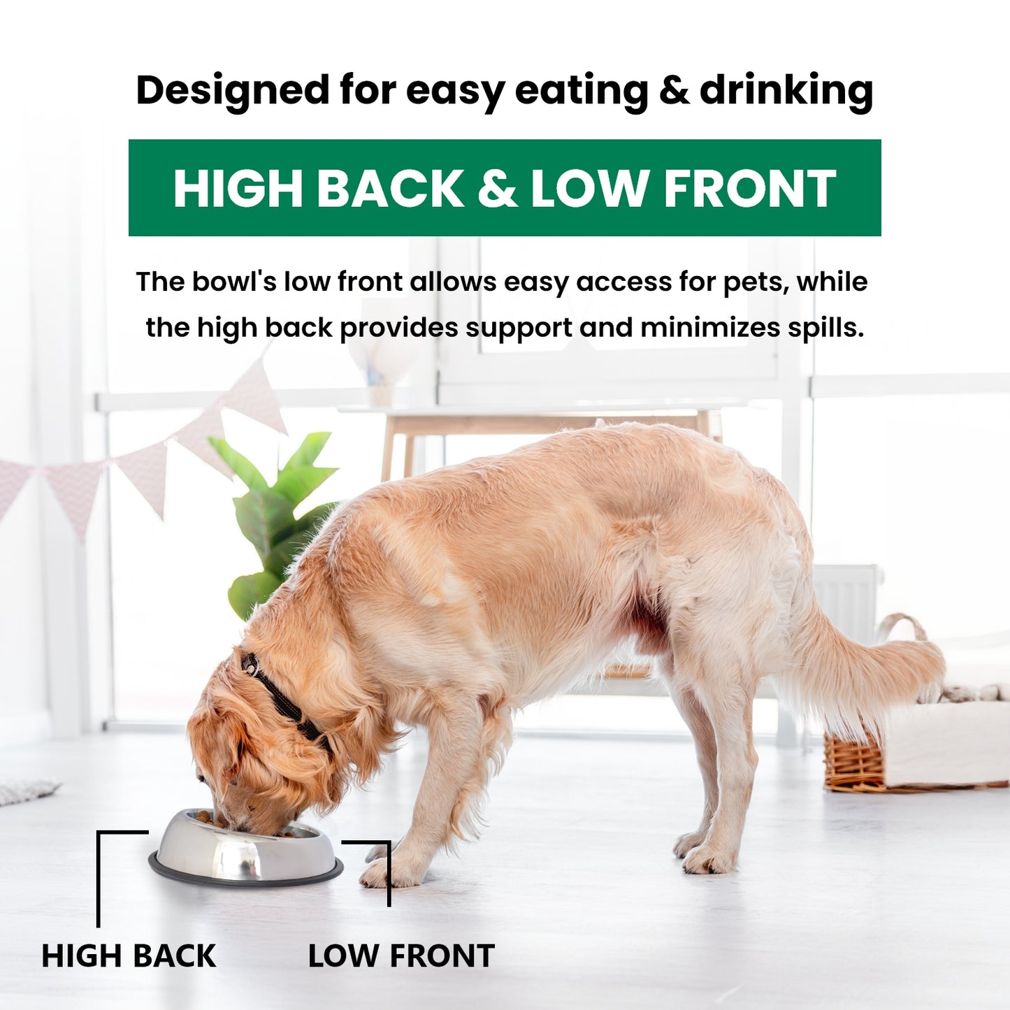 2 Pack Heavy Weight Non-Skid Easy Feed High Back Pet Bowl for Dog or Cat
