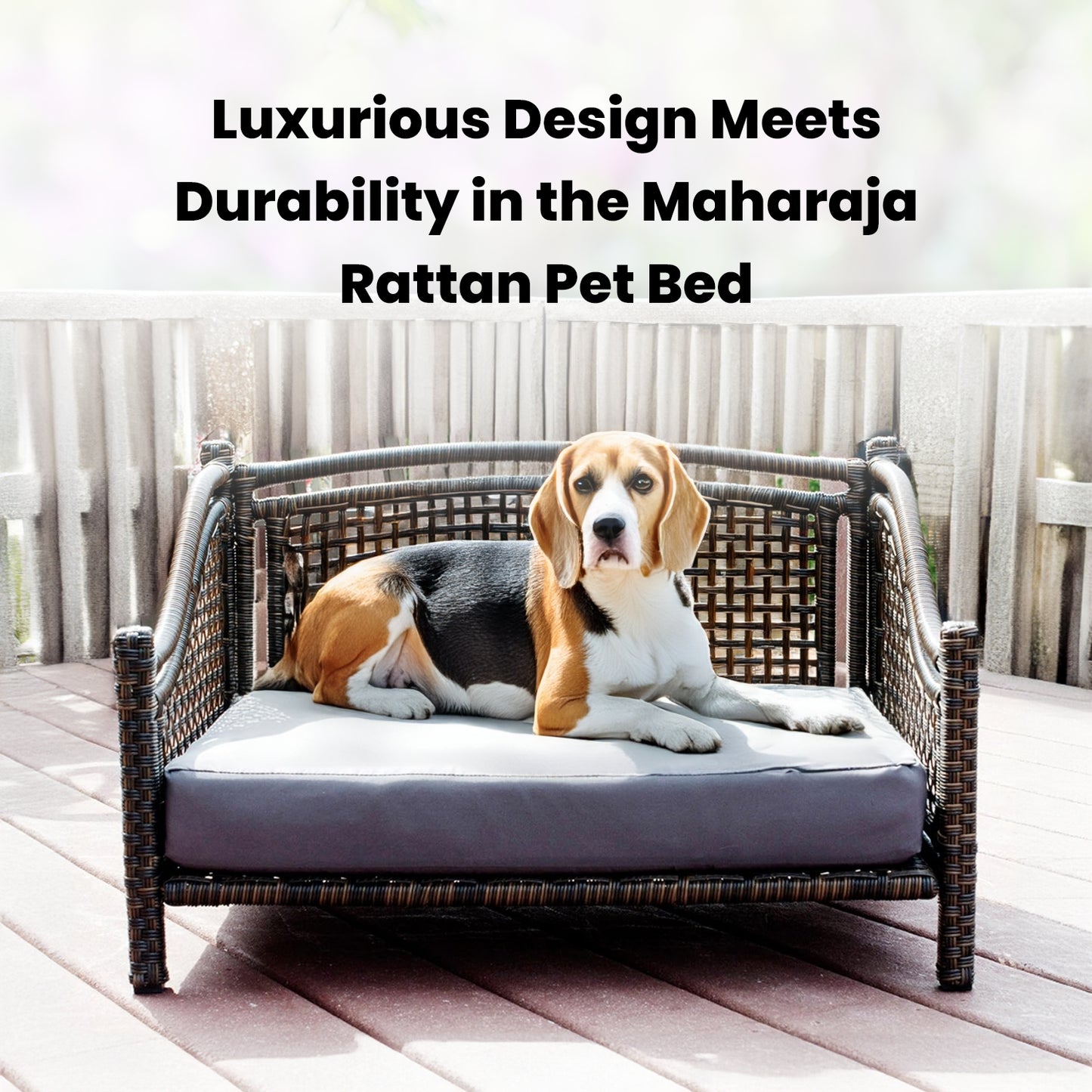 Maharaja Rattan Pet Bed