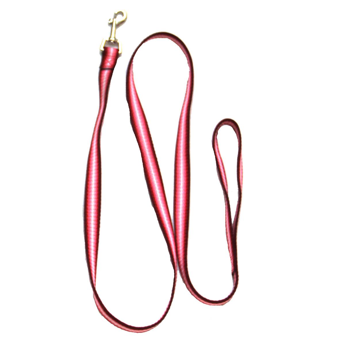 Pet Dog or Cat Leash - Rainbow - Iconic Pet, LLC