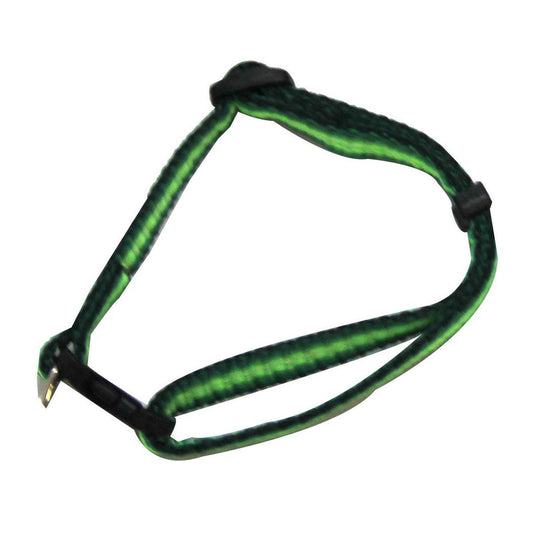 Adjustable Pet Collar - Rainbow - Iconic Pet, LLC