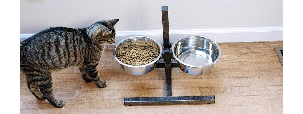 Adjustable Stainless Steel Pet Double Diner for Dog - H Design