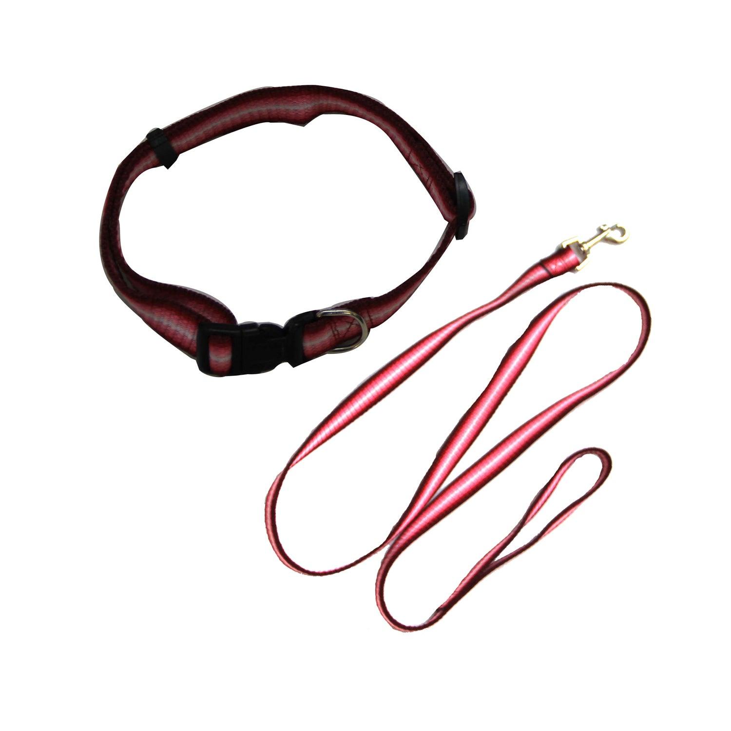 Rainbow Adjustable Collar with Leash - Iconic Pet, LLC