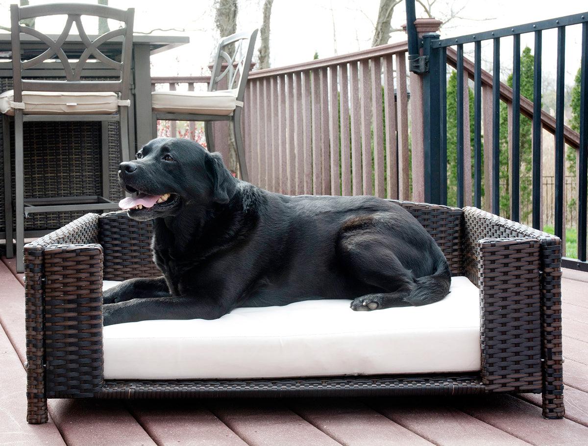 Wicker outdoor hotsell dog bed