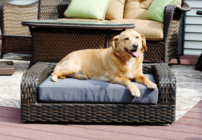 Rattan Pet Sofa - Iconic Pet, LLC