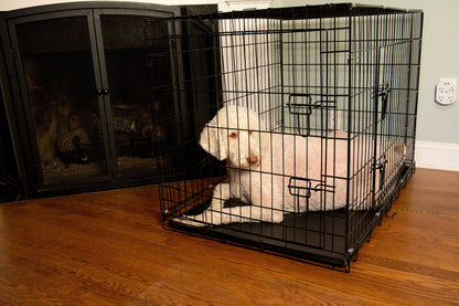Foldable Double Door Pet Training Crate with Divider