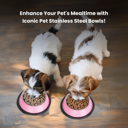 2 Pack Color Splash Stripe Non-Skid Pet Bowl for Dog or Cat