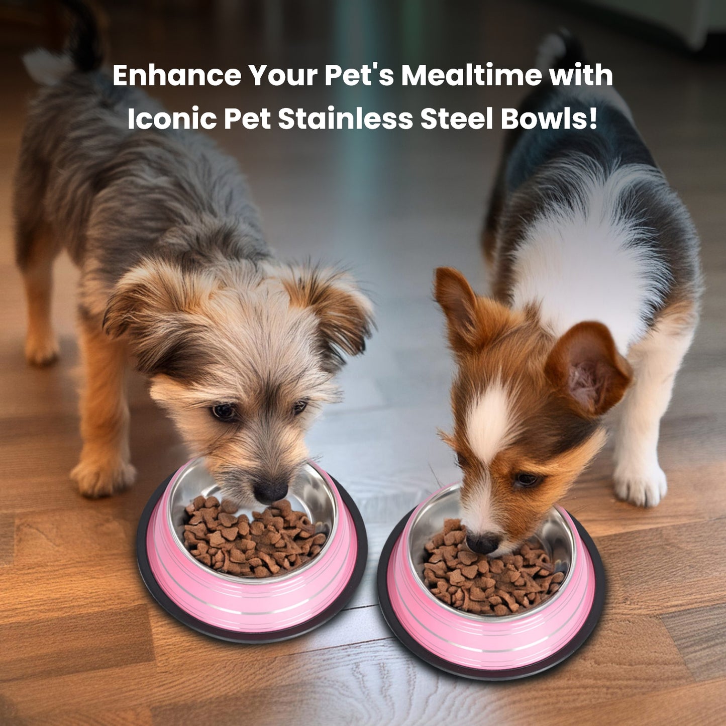 2 Pack Color Splash Stripe Non-Skid Pet Bowl for Dog or Cat