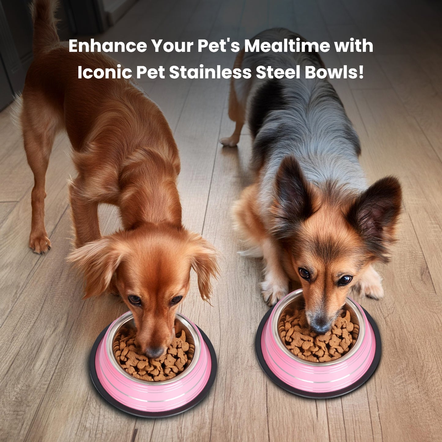 2 Pack Color Splash Stripe Non-Skid Pet Bowl for Dog or Cat