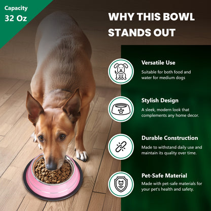 Color Splash Stripe Non-Skid Pet Bowl