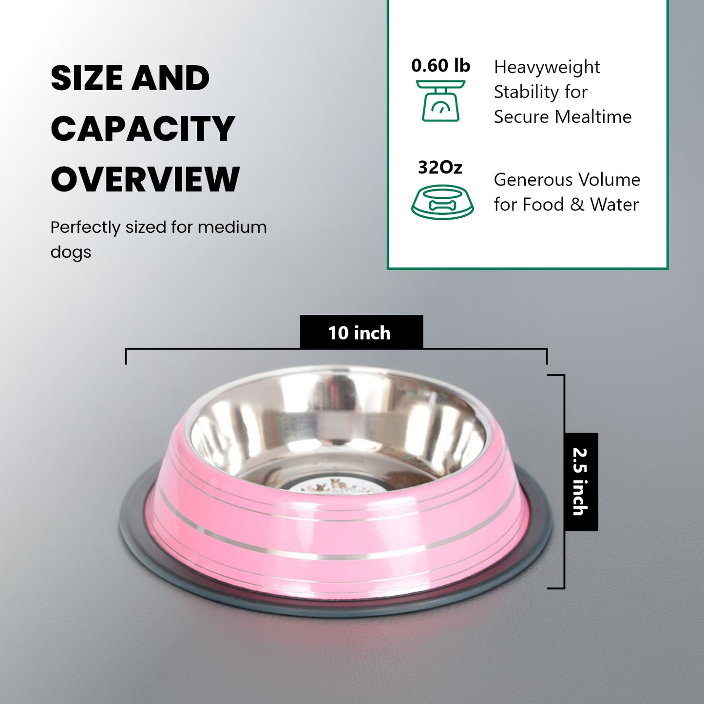 Color Splash Stripe Non-Skid Pet Bowl