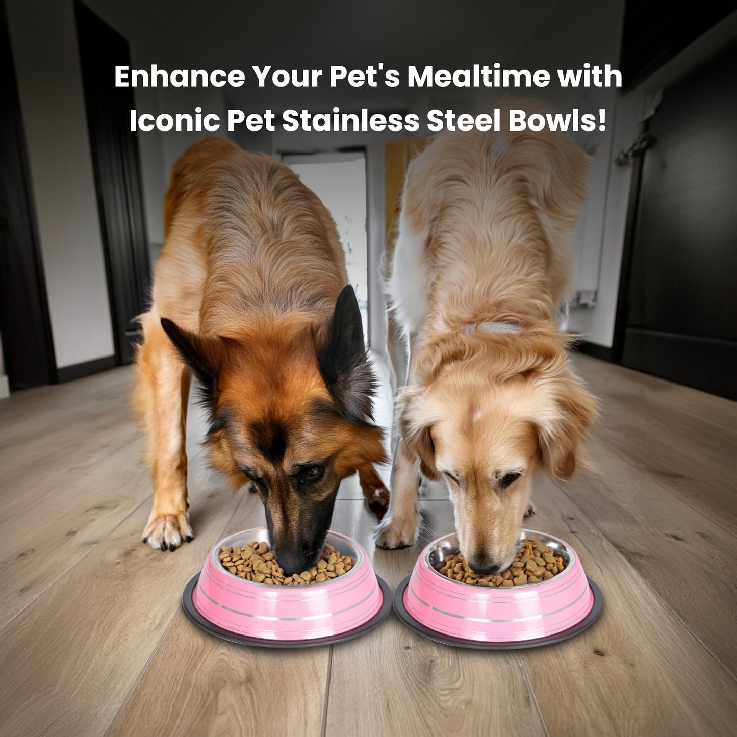 Color Splash Stripe Non-Skid Pet Bowl