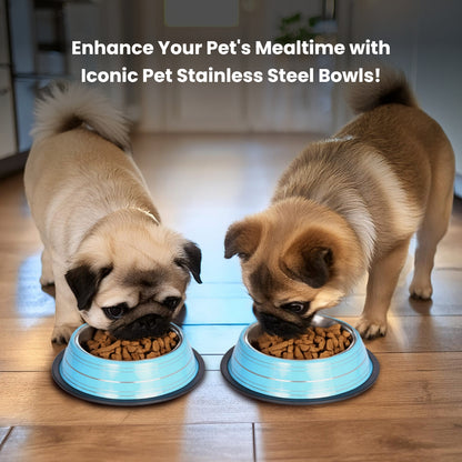 Color Splash Stripe Non-Skid Pet Bowl