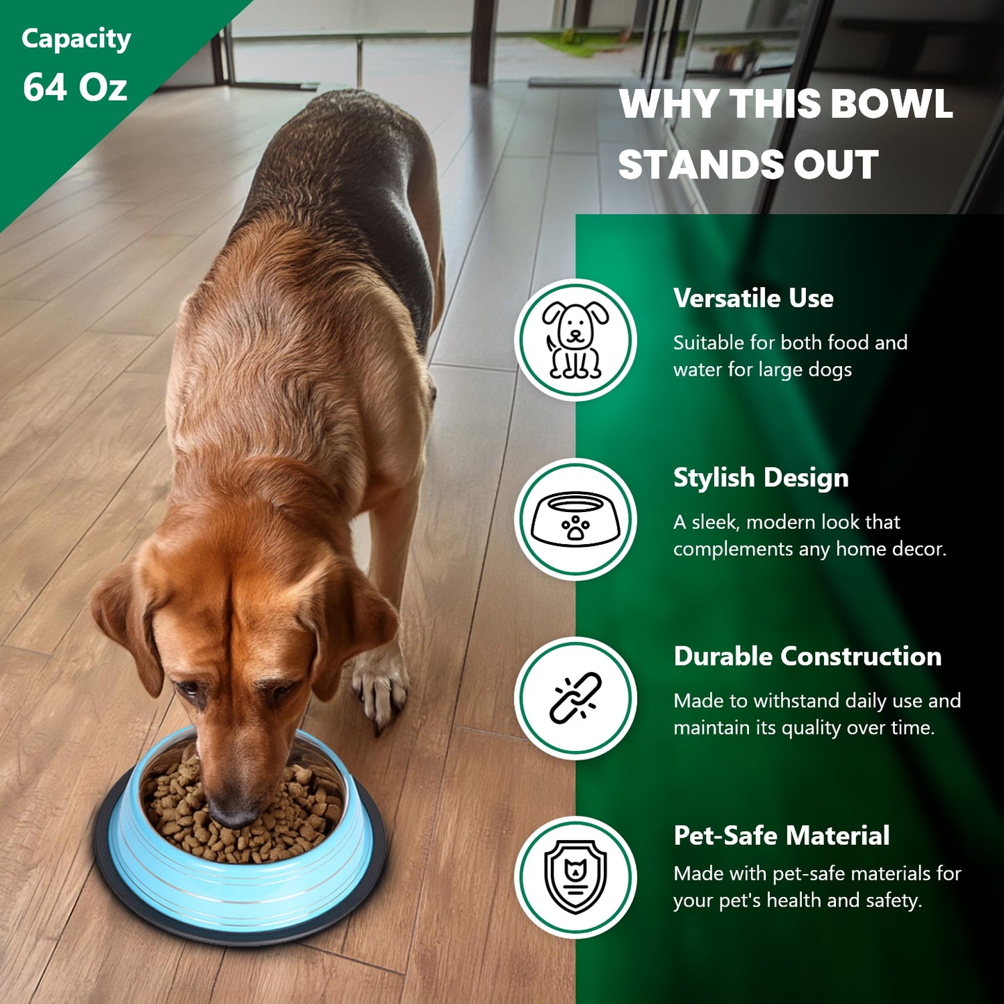 Color Splash Stripe Non-Skid Pet Bowl