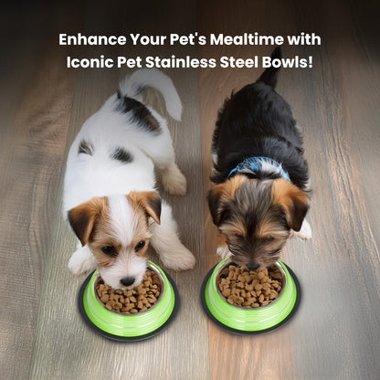 Color Splash Stripe Non-Skid Pet Bowl