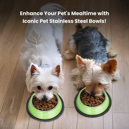 Color Splash Stripe Non-Skid Pet Bowl