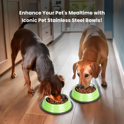 Color Splash Stripe Non-Skid Pet Bowl