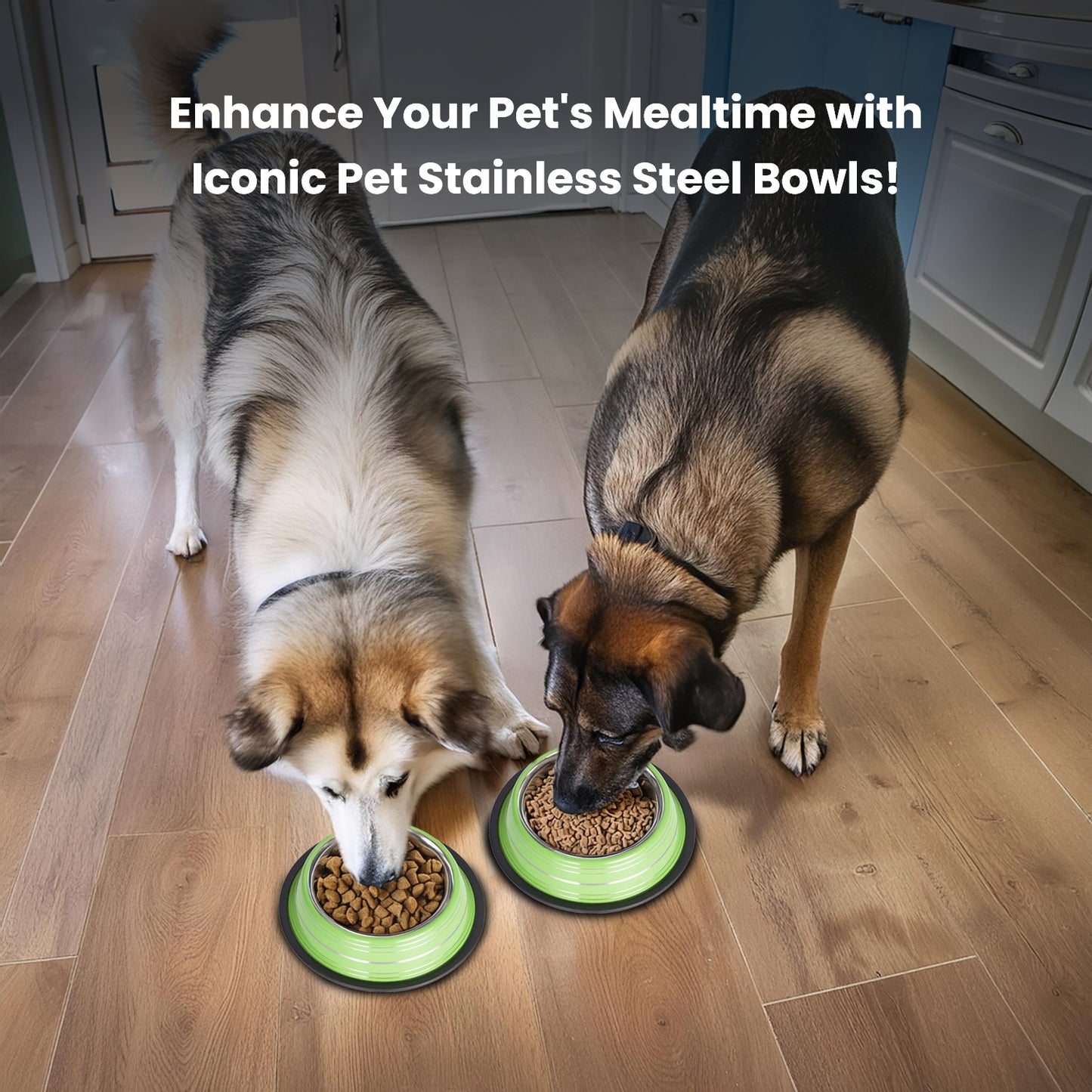 2 Pack Color Splash Stripe Non-Skid Pet Bowl for Dog or Cat