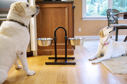 Adjustable Stainless Steel Pet Double Diner for Dog - U Design - Iconic Pet, LLC