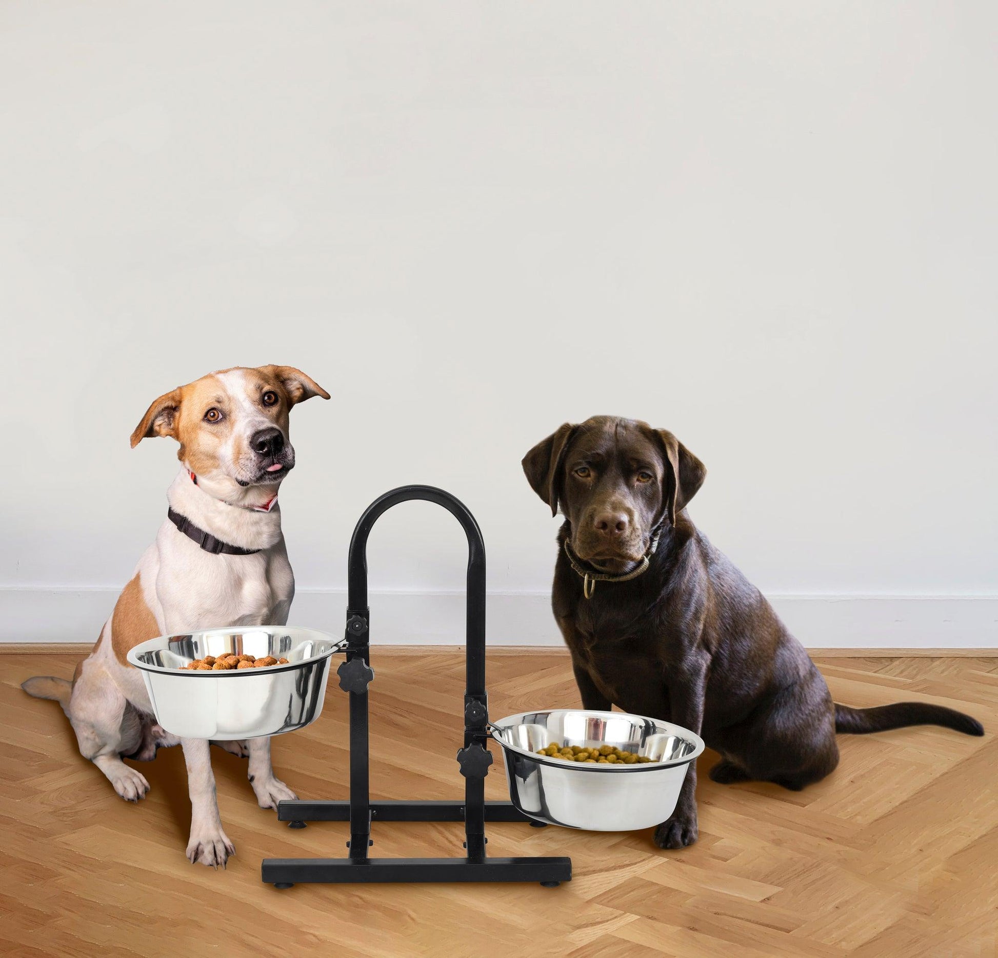 Adjustable Stainless Steel Pet Double Diner for Dog - U Design - Iconic Pet, LLC