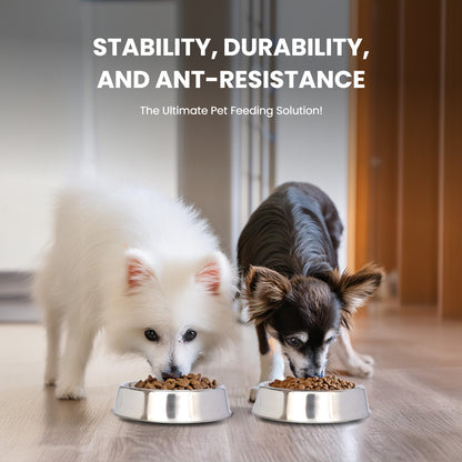 Anti Ant Stainless Steel Non Skid Pet Bowl for Dog or Cat