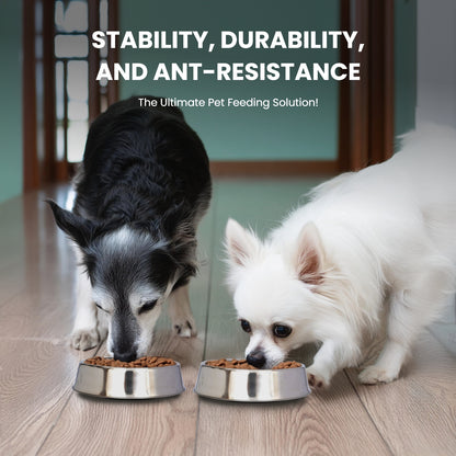 Anti Ant Stainless Steel Non Skid Pet Bowl for Dog or Cat